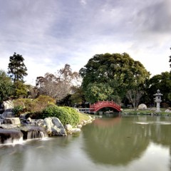 Jardin