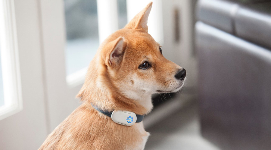 pebby accessory