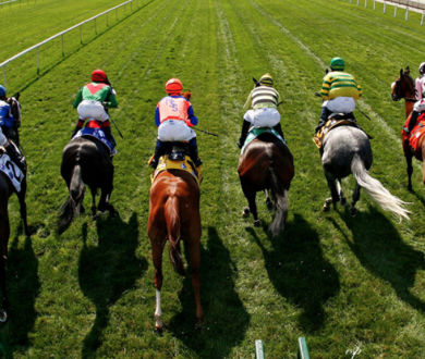 A beginner’s guide to picking a winning horse at the Melbourne Cup