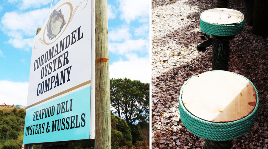 The Coromandel Oyster Company The Denizen