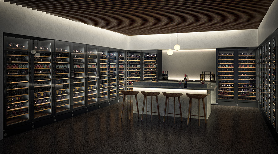 The International Denizen