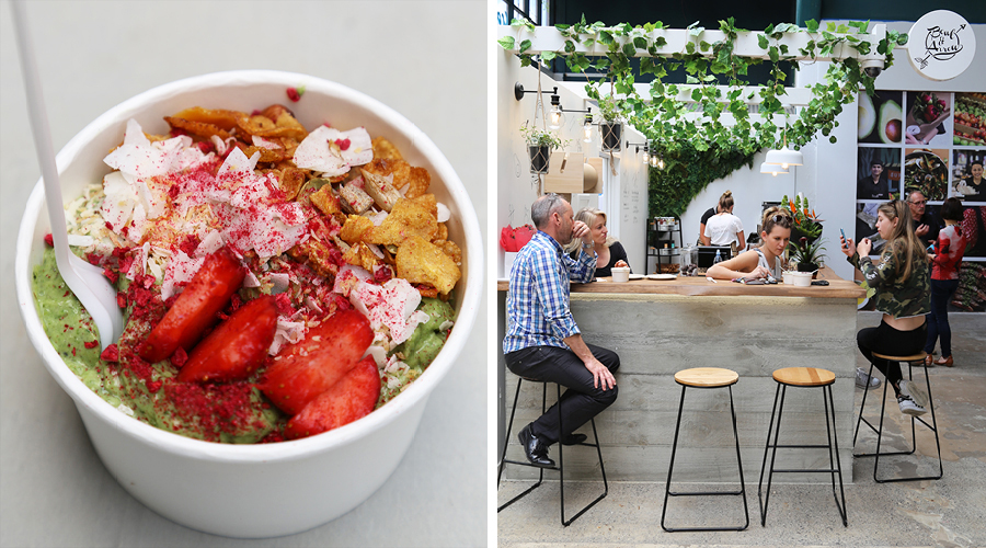 Bowl and Arrow The Denizen