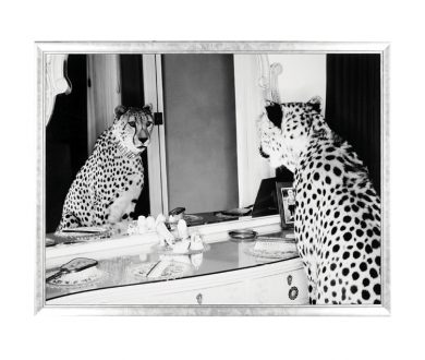 Cheetah Looking In Mirror Print