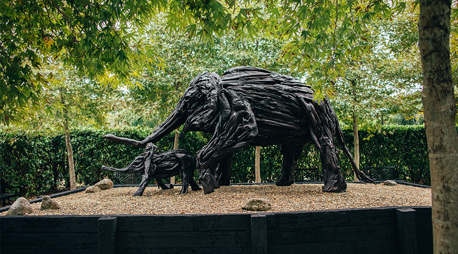 A worldclass sculpture park, Sculptureum, is luring us to Matakana The Denizen