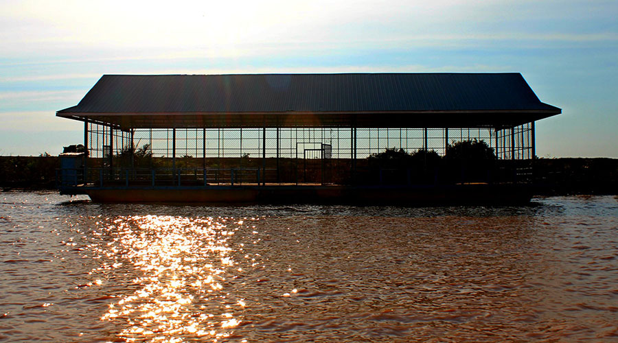 Floating Court