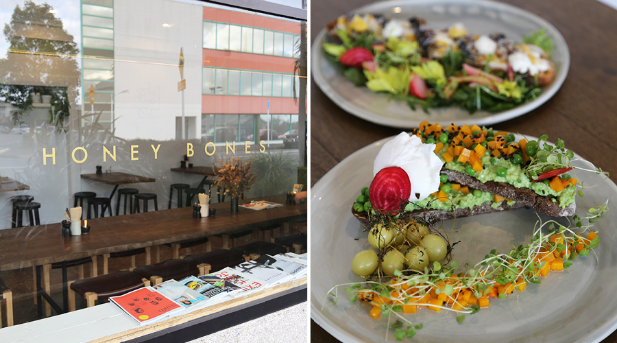 Grey Lynn's Honey Bones is destined to a crowd favourite The