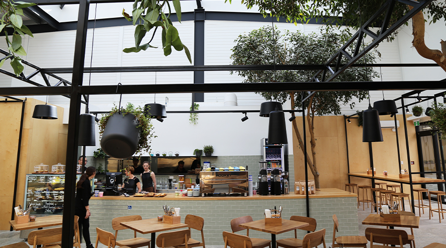 Northcote Glasshouse, a soothing and lightfilled cafe The