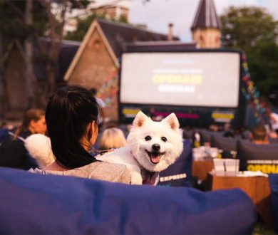 American Express Open Air Cinema