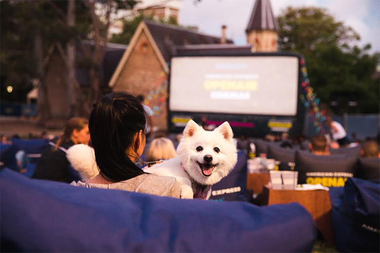 American Express Open Air Cinema