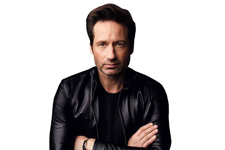 David Duchovny (in concert)