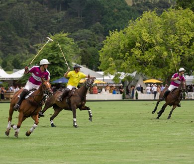 Land Rover NZ Polo Open
