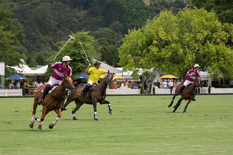 Land Rover NZ Polo Open