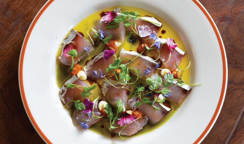Light, refreshing and full of the taste of summer, these are the best crudo dishes in Auckland