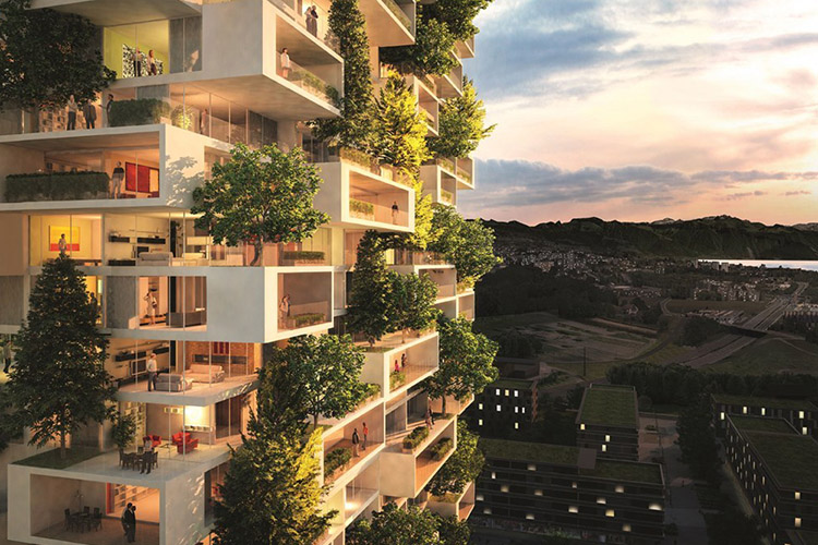 The Tower Of Cedars, Lausanne