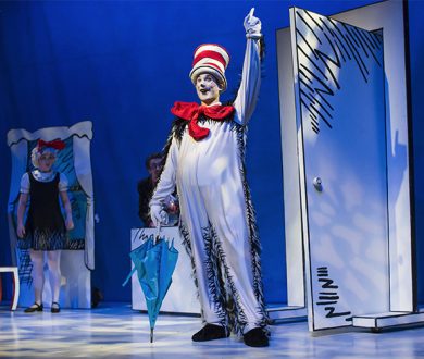 Dr Seuss's The Cat in the Hat