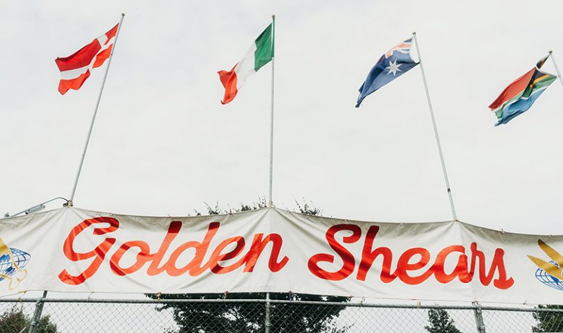 Watch: the new trailer to acclaimed Kiwi film ‘She Shears’