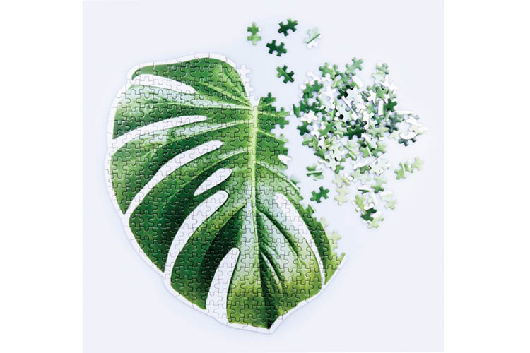 Monstera Slow Jigsaw Puzzle