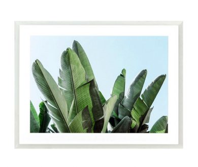 Banana leaves Print