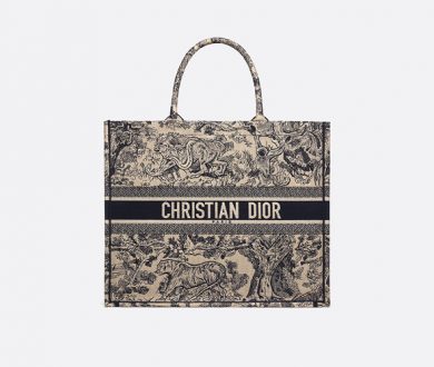 Book tote