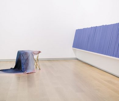 Dane Mitchell — Iris, Iris, Iris