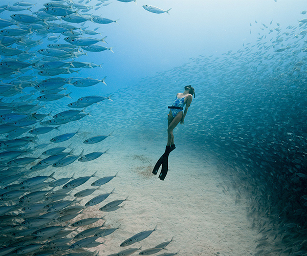 Ocean Film Festival