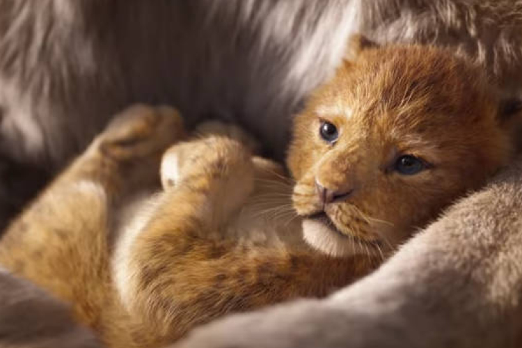 The Lion King