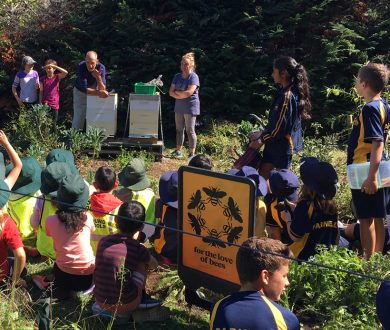 Meet Sarah Smuts-Kennedy — the woman on a mission to save the bees