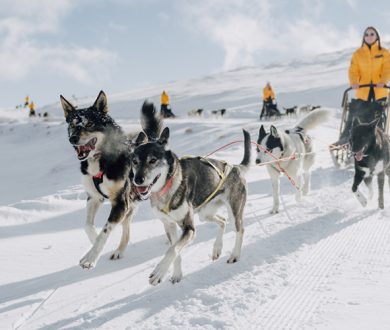 Fliss Grennell recaps a thrilling weekend spent at Clicquot in the Snow