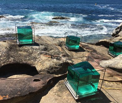 Sculpture By The Sea