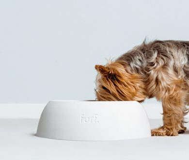 Give your furry little friends a treat with the coolest pet accessories around