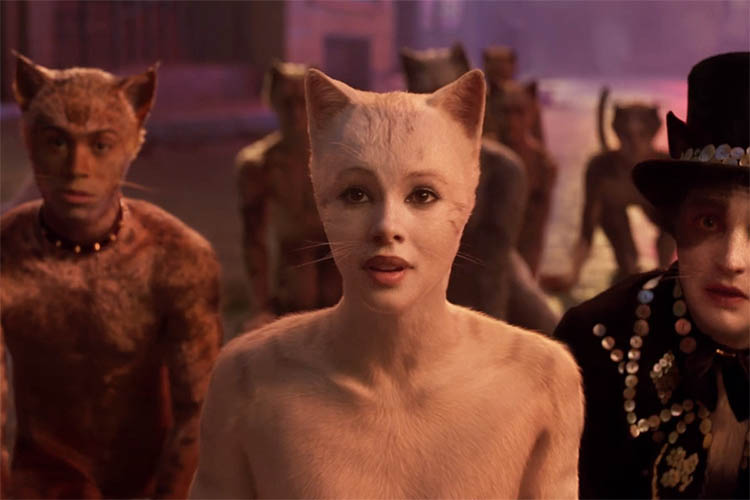 Cats
