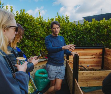 Viaduct Harbour is leading the sustainable charge as Auckland’s first urban composting site