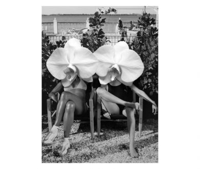 Dina Broadhurst Ladies in Waiting