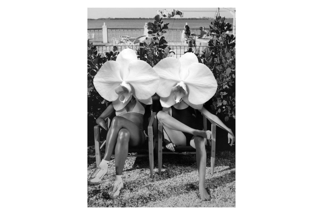 Dina Broadhurst Ladies in Waiting