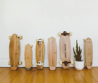 Goose Boards travelling Pump Track