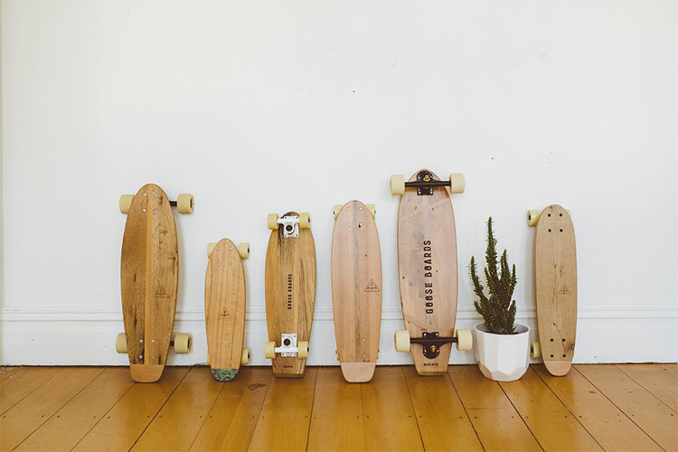 Goose Boards travelling Pump Track