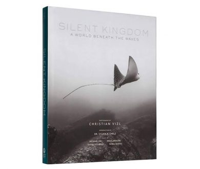 Silent Kingdom: A World Beneath the Waves