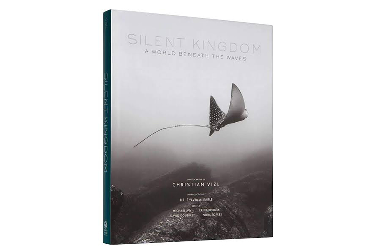 Silent Kingdom: A World Beneath the Waves