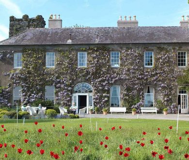 Life-Changing Journeys: This Irish haven offers an unparalleled culinary experience