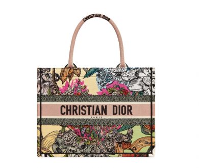 Dior book tote