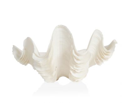 Komodo shell ornament