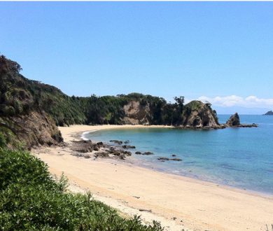 Waitangi Wishlist: suggestions for making the most of your day off work