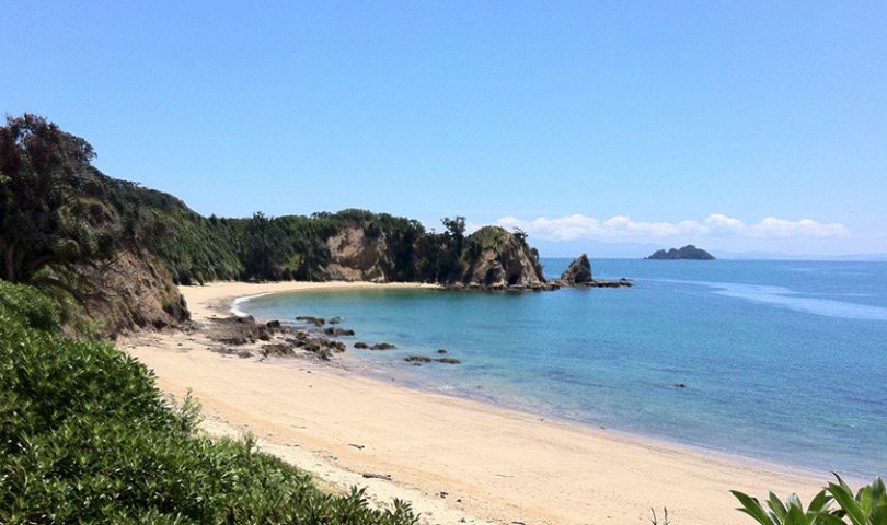 Waitangi Wishlist: suggestions for making the most of your day off work
