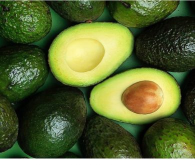 The Avo Tree