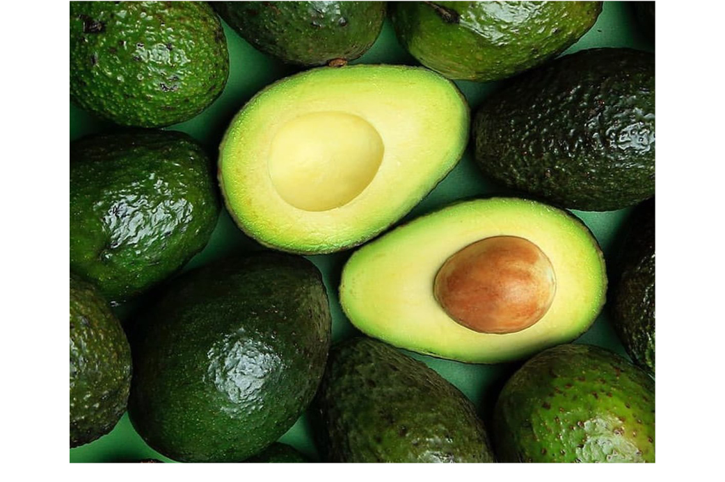 The Avo Tree