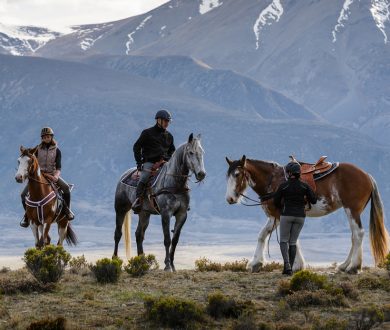 South Island bucket list: 10 unmissable activities to try next time you head South