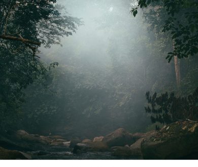 The Clearing by Kate van der Drift