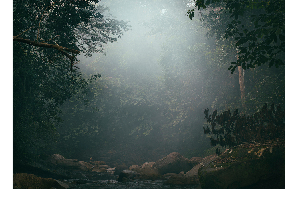 The Clearing by Kate van der Drift