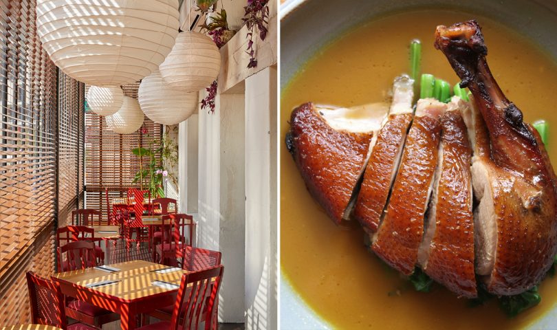 Beloved Britomart eatery Cafe Hanoi opens a brand new dining space