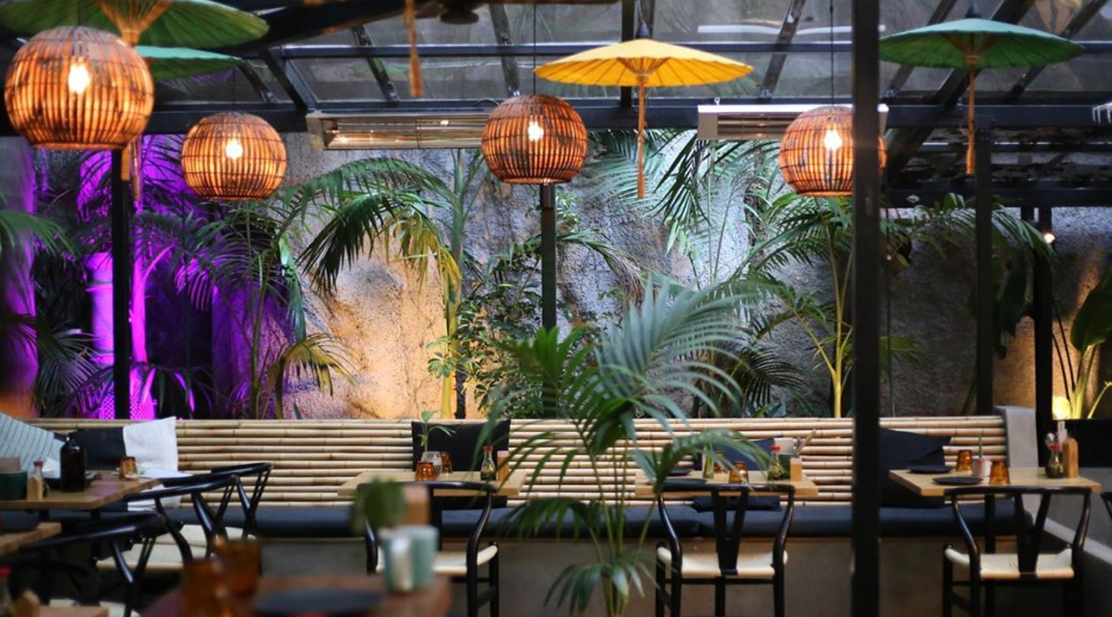 Where to find the coolest hidden courtyards in Auckland this summer
